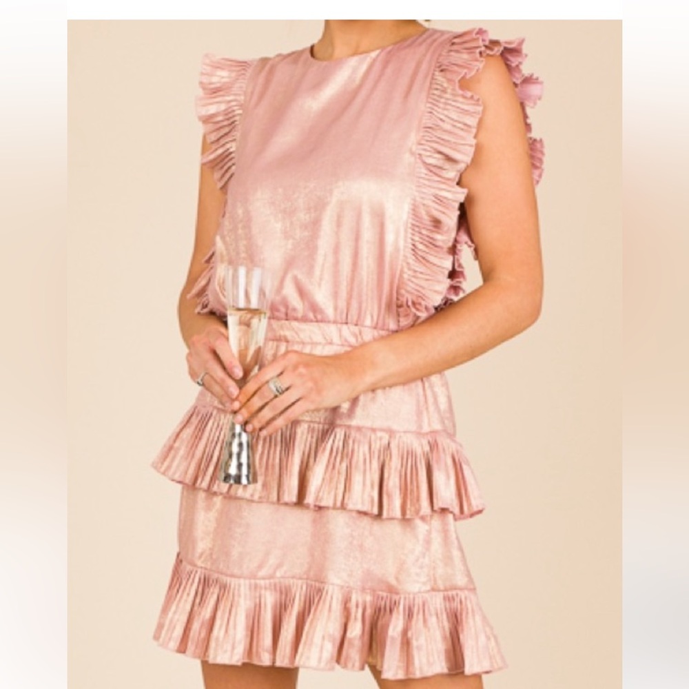 TCEC shimmer, dress size small